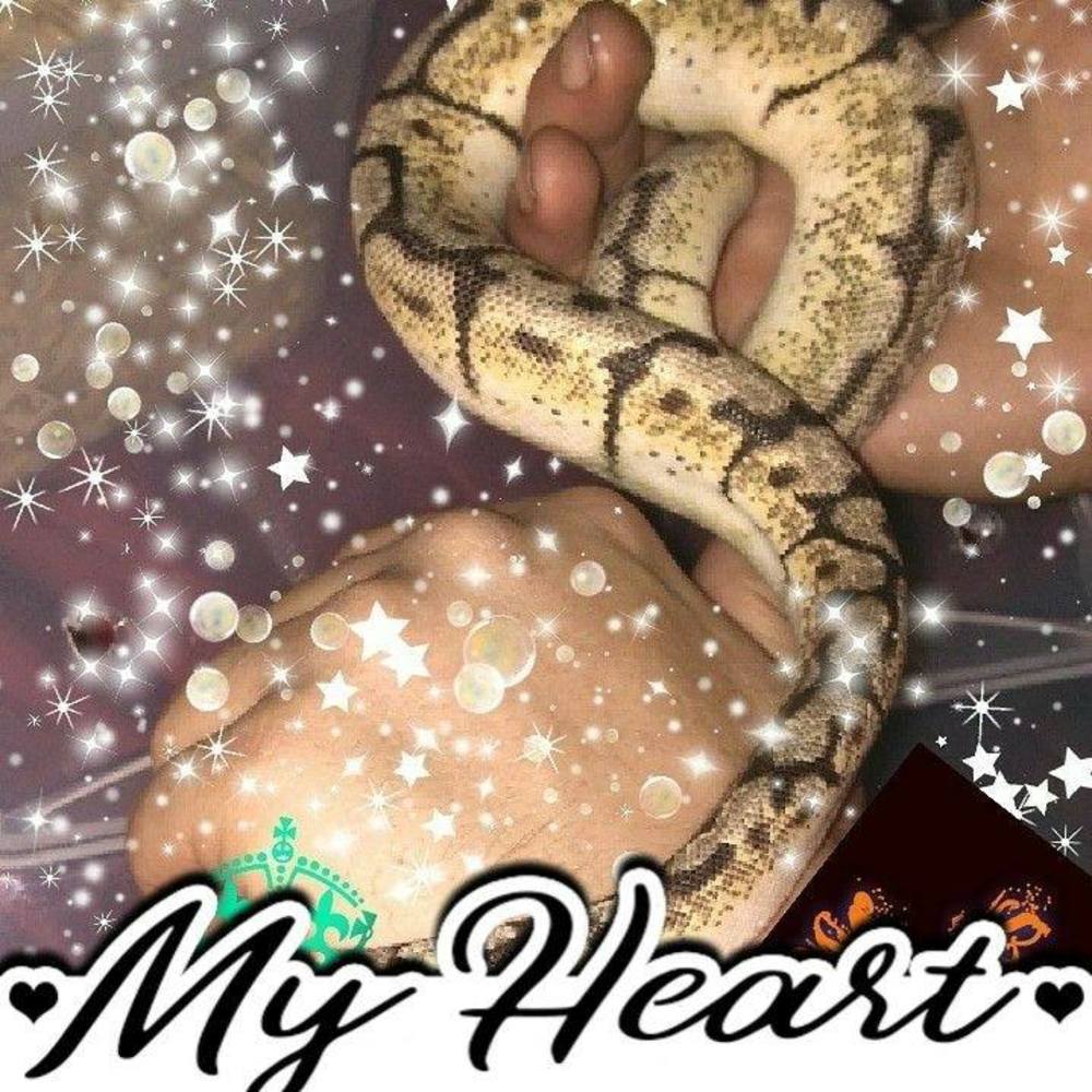 Meet your Posher, Robin